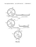 Combinatorial DNA library for producing modified N-glycans in lower eukaryotes diagram and image