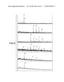 Combinatorial DNA library for producing modified N-glycans in lower eukaryotes diagram and image