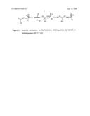 Method of Production of Optically Active Halohydrocarbons and Alcohols Using Hydrolytic Dehalogenation Catalysed by Haloalkanedehalogenases diagram and image