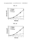 Human Cancer Suppressor Gene, Protein Encoded Therein, Expression Vector Containing The Same, And Cell Transformed By The Vector diagram and image