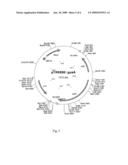 COMPOSITIONS COMPRISING PROMOTER SEQUENCES AND METHODS OF USE diagram and image