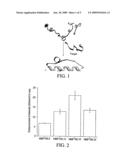 Hybrid Molecular Probe diagram and image