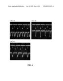 PULSED-MULTILINE EXCITATION FOR COLOR-BLIND FLUORESCENCE DETECTION diagram and image