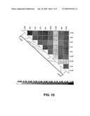 SNP BINDING SITE FOR microRNAs IN HLA-G diagram and image