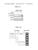 AIMP2-DX2 Gene and SiRNA Targeting AIMP2-DX2 diagram and image