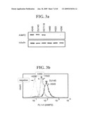 AIMP2-DX2 Gene and SiRNA Targeting AIMP2-DX2 diagram and image