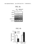 AIMP2-DX2 Gene and SiRNA Targeting AIMP2-DX2 diagram and image