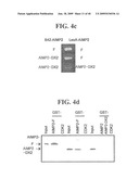 AIMP2-DX2 Gene and SiRNA Targeting AIMP2-DX2 diagram and image