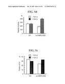 AIMP2-DX2 Gene and SiRNA Targeting AIMP2-DX2 diagram and image