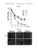 AIMP2-DX2 Gene and SiRNA Targeting AIMP2-DX2 diagram and image