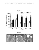 AIMP2-DX2 Gene and SiRNA Targeting AIMP2-DX2 diagram and image