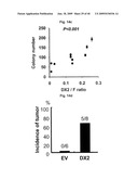 AIMP2-DX2 Gene and SiRNA Targeting AIMP2-DX2 diagram and image