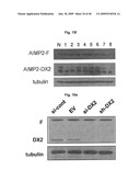 AIMP2-DX2 Gene and SiRNA Targeting AIMP2-DX2 diagram and image