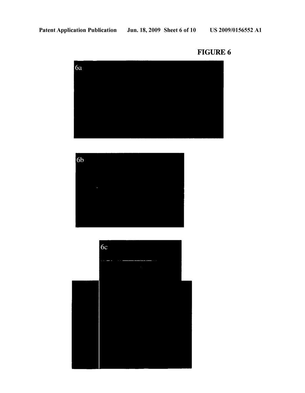 TOPICAL DELIVERY OF PHTHALOCYANINES - diagram, schematic, and image 07