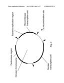 Circular Chromosomes diagram and image