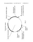 Circular Chromosomes diagram and image