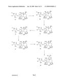 Novel Compounds and Methods for Forming Taxanes and Using the Same diagram and image