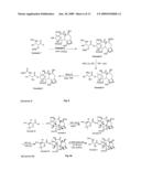 Novel Compounds and Methods for Forming Taxanes and Using the Same diagram and image