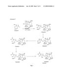 Novel Compounds and Methods for Forming Taxanes and Using the Same diagram and image