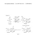 Novel Compounds and Methods for Forming Taxanes and Using the Same diagram and image