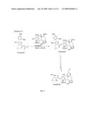 Novel Compounds and Methods for Forming Taxanes and Using the Same diagram and image