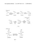 Novel Compounds and Methods for Forming Taxanes and Using the Same diagram and image