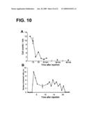 DEVICE AND METHOD FOR IN VIVO FLOW CYTOMETRY USING THE DETECTION OF PHOTOACOUSTIC WAVES diagram and image