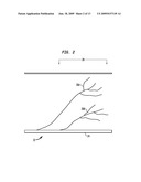 DERMATOME STIMULATION DEVICES AND METHODS diagram and image