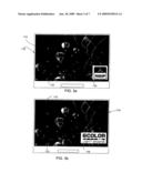 TELEVISION FEATURE DISPLAY SYSTEM diagram and image