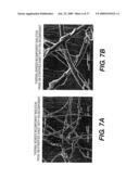 Paper Products Including Surface Treated Thermally Bondable Fibers and Methods of Making the Same diagram and image