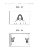 Lens-interchangeable digital photographing apparatus and method for controlling the same diagram and image