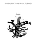 Medical Image Observation Assisting System diagram and image