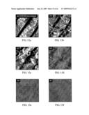 METHOD FOR PRODUCING FILM OF VANADIUM PENTOXIDE NANOWIRES HAVING IMPROVED ALIGNMENT AND VANADIUM PENTOXIDE NANOWIRE FILM PRODUCED THEREBY diagram and image