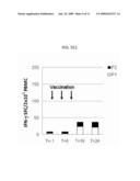 Polynucleotide encoding HCV epitopes which can bind to various HLA supertypes, immunogenic composition comprising same and method of inducing an HCV-specific immune response using same diagram and image