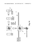 EMBEDDED ENZYMES IN POLYMERS TO REGULATE THEIR DEGRADATION RATE diagram and image