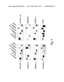 Consensus/ancestral immunogens diagram and image