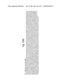 Consensus/ancestral immunogens diagram and image