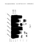 Consensus/ancestral immunogens diagram and image