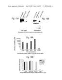 Consensus/ancestral immunogens diagram and image