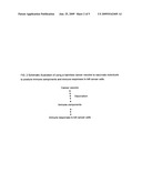 Proteinase-engineered cancer vaccine induces immune responses to prevent cancer and to systemically kill cancer cells diagram and image