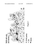 SILK FIBROIN COATING diagram and image