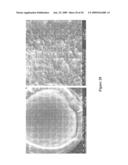 WHEY PROTEIN VEHICLE FOR ACTIVE AGENT DELIVERY diagram and image