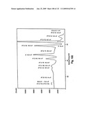 Inorganic-hydrogen-polymer and hydrogen-polymer compounds and applications thereof diagram and image