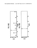 Inorganic-hydrogen-polymer and hydrogen-polymer compounds and applications thereof diagram and image