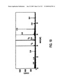 Inorganic-hydrogen-polymer and hydrogen-polymer compounds and applications thereof diagram and image