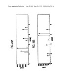 Inorganic-hydrogen-polymer and hydrogen-polymer compounds and applications thereof diagram and image