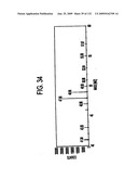 Inorganic-hydrogen-polymer and hydrogen-polymer compounds and applications thereof diagram and image