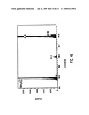 Inorganic-hydrogen-polymer and hydrogen-polymer compounds and applications thereof diagram and image