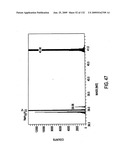 Inorganic-hydrogen-polymer and hydrogen-polymer compounds and applications thereof diagram and image