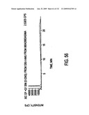 Inorganic-hydrogen-polymer and hydrogen-polymer compounds and applications thereof diagram and image